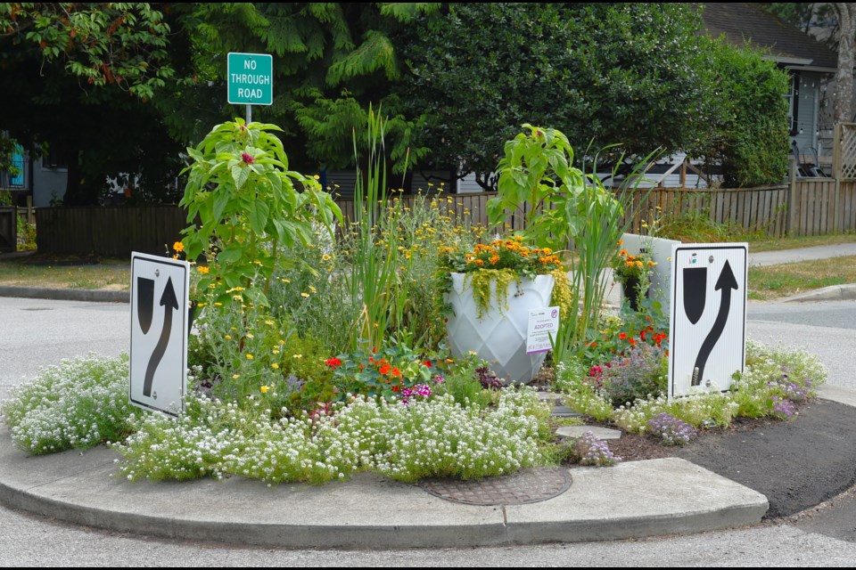 Katie Berlinguette has created a vibrant, dense, and tidy garden at Glen Drive and East 10th Avenue.