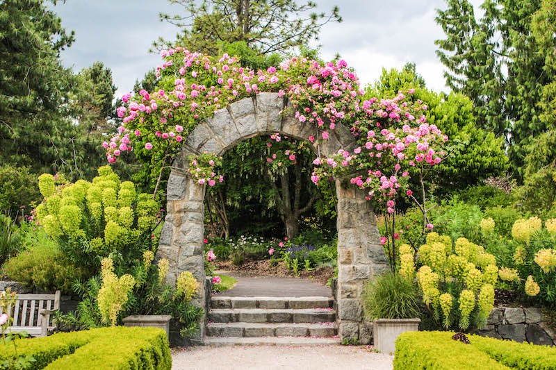 VanDusen Botanical Garden has two rose gardens to explore