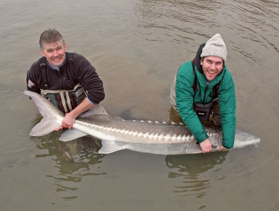 bob-kronbauer-sturgeon-fishing