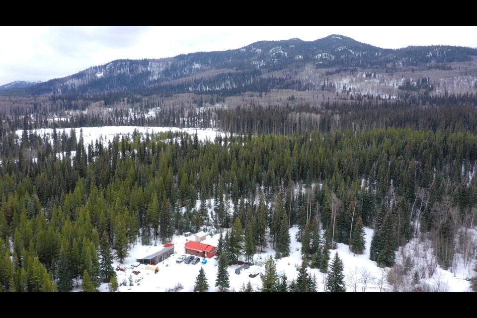 Cozy cabin near Burns Lake