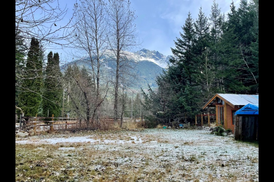 A view of the mountainside from the lot in the Great Bear Rainforest