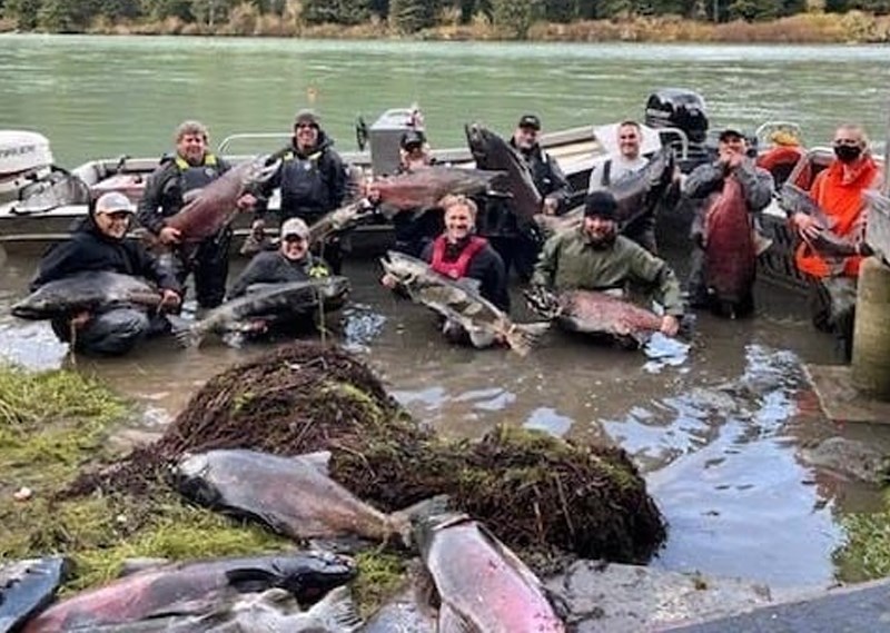 A bunch of very, very big fish