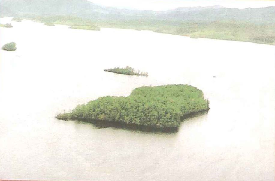 Stuart Lake island for sale