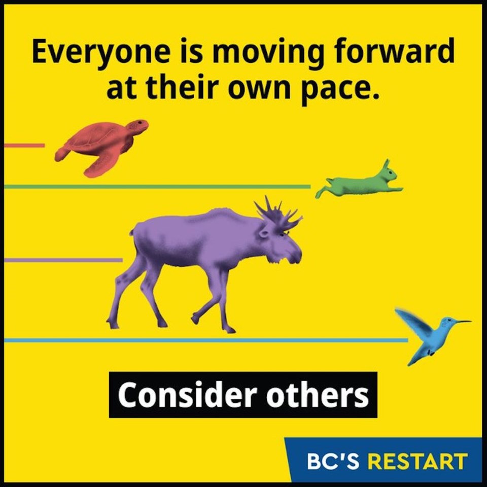 bc-animal-pace-graphic-covid-19