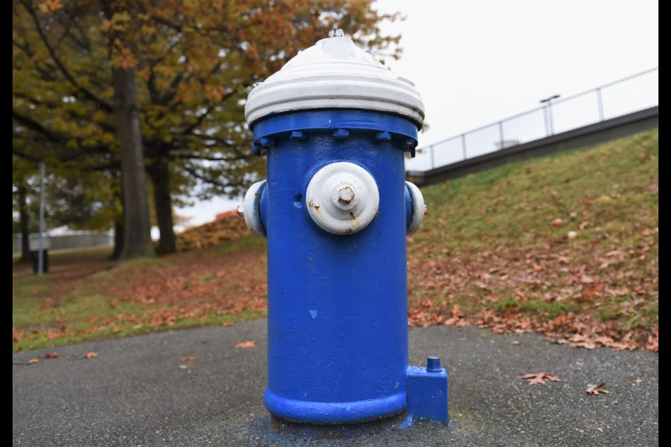 Blue fire hydrants in Vancouver are part of a system that can handle an 8.5-magnitude earthquake.