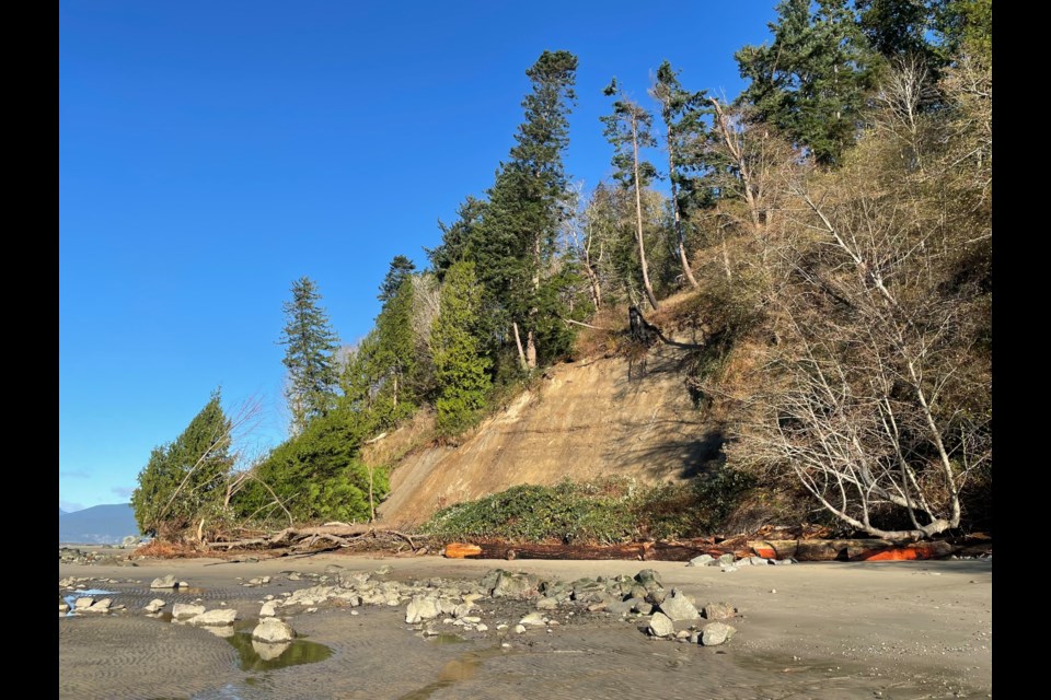 Foreshore Trail in Pacific Spirit Park is closed due to cliffs collapsing after the extreme weather this week.