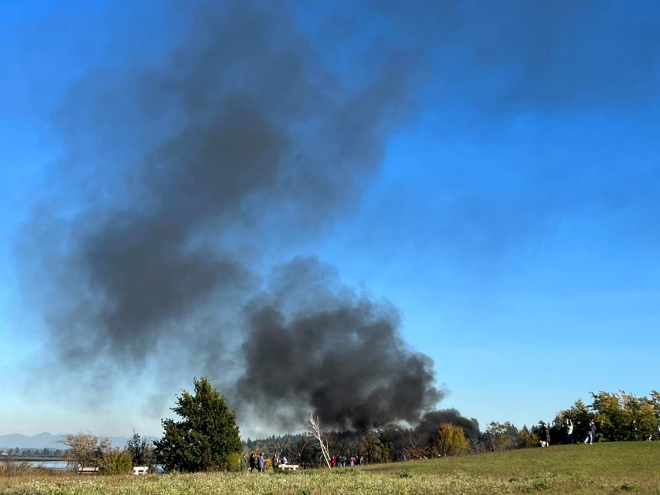 surrey-plane-crash