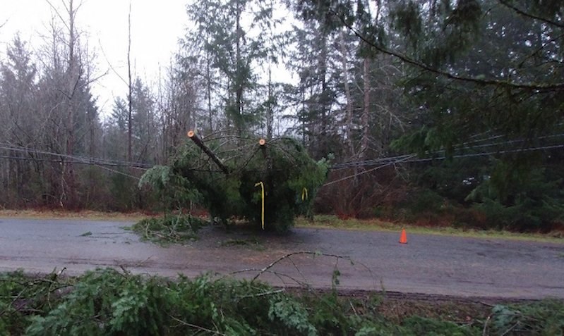bc-hydro-vancouver-storm-power-outages-november-2021