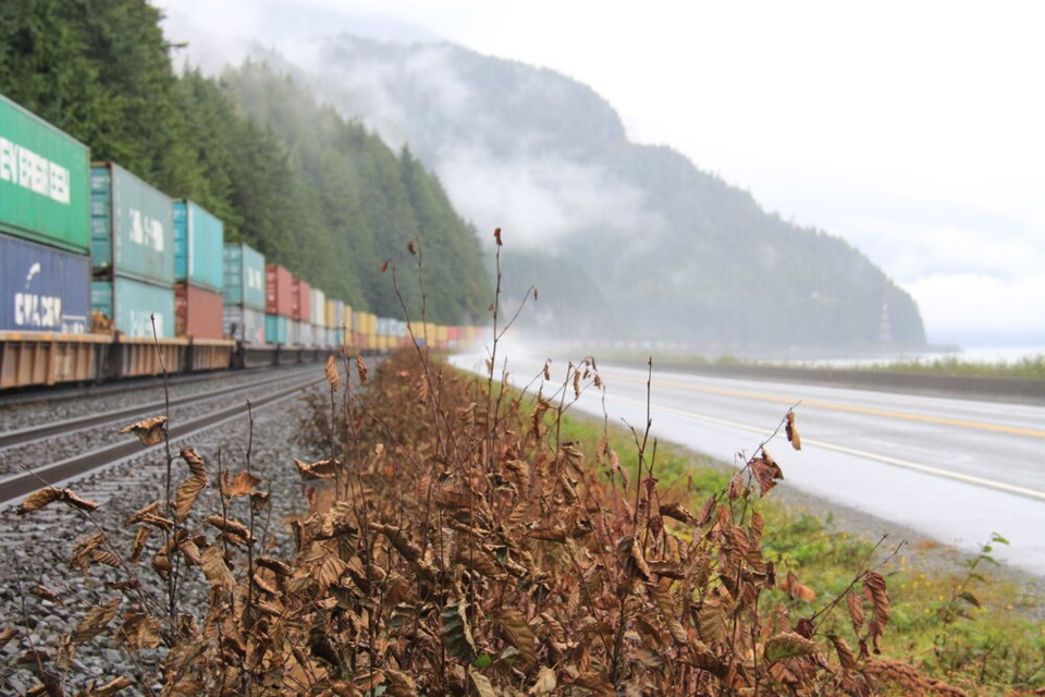 container_train_dead_vegetation_and_skeena