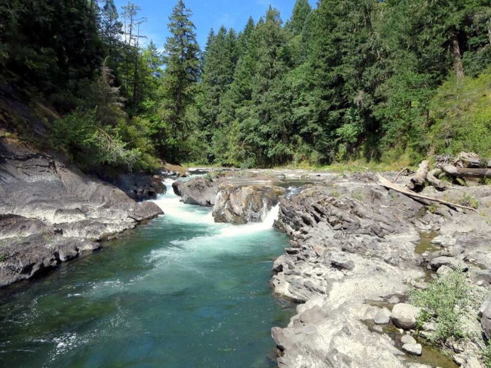 david_stanley_-_cowichan_river_provincial_park