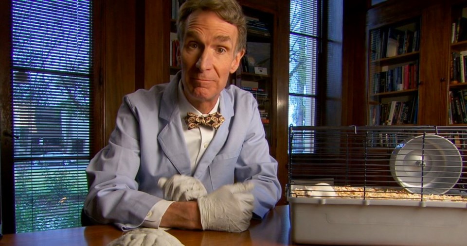 bill-nye