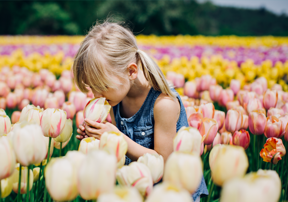 botanica-chilliwack-tulip-festival