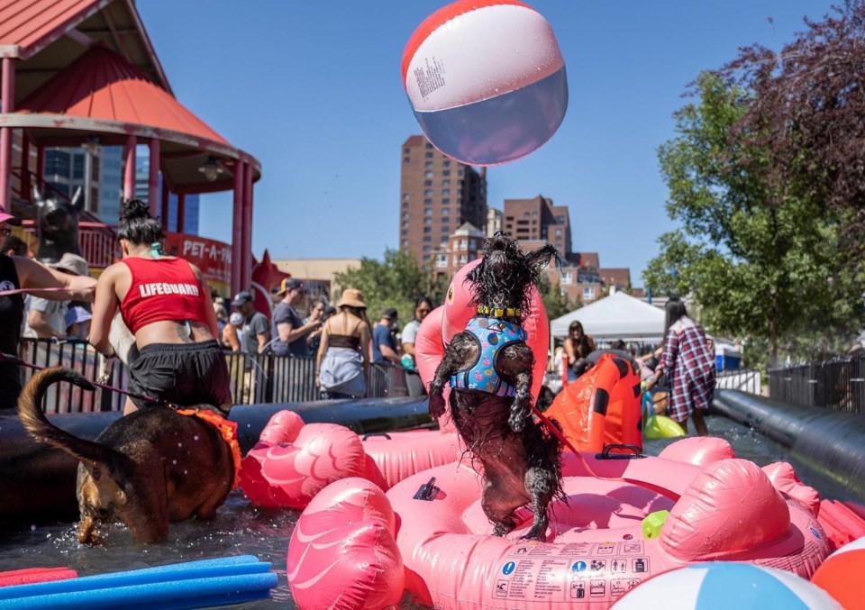 dog festival Pet-A-Palooza