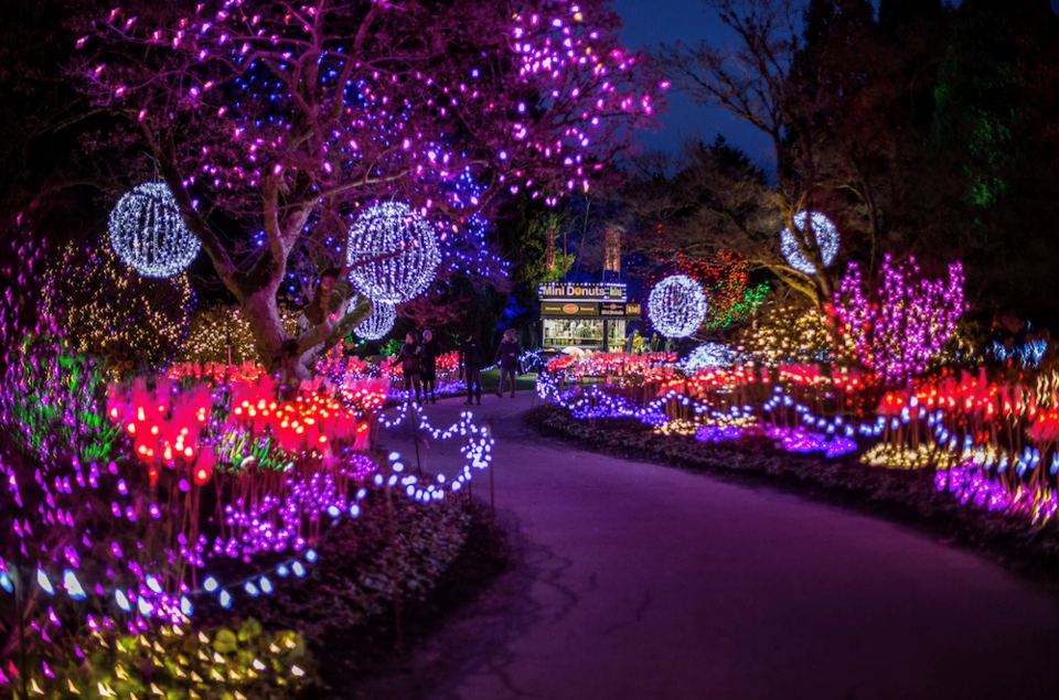 Festival of Lights at VanDusen and Stanley Park Christmas Train