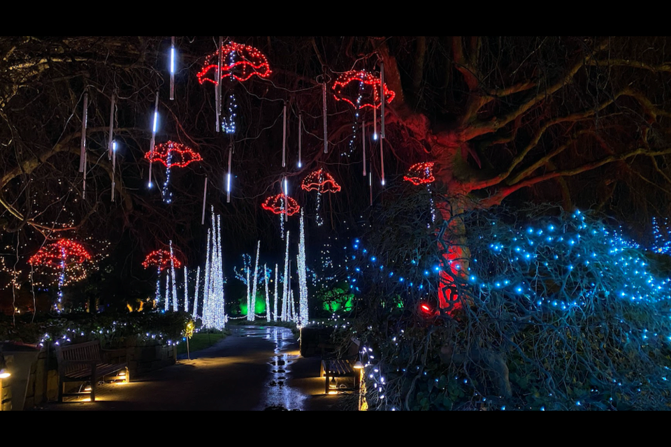 Vancouver's VanDusen Festival of Lights has now cancelled its 2020 event due to B.C.'s COVID-19 restrictions. Photo courtesy of the City of Vancouver