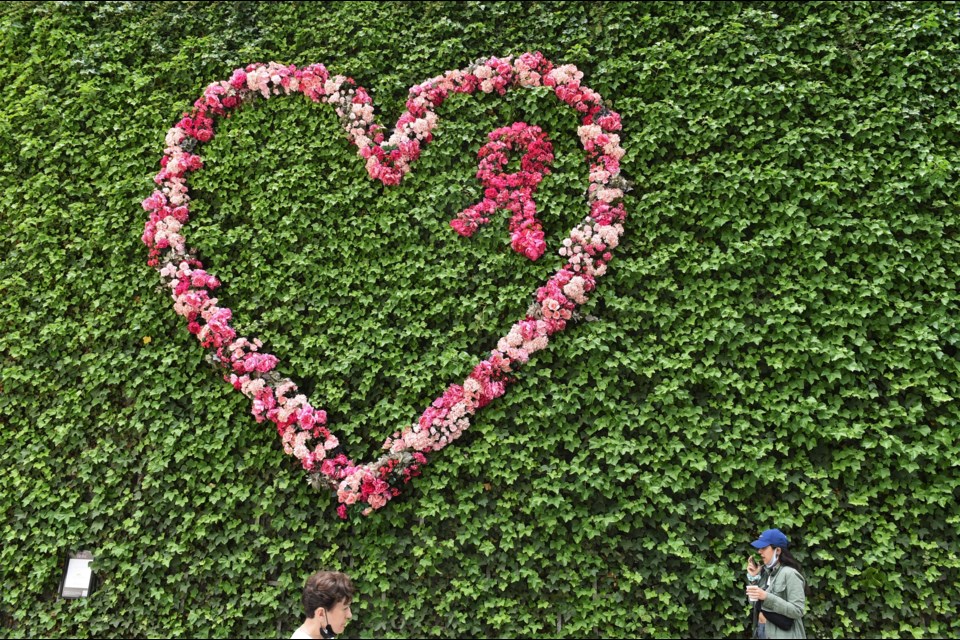 Fleurs de Villes is all over downtown 鶹ýӳuntil June 20.