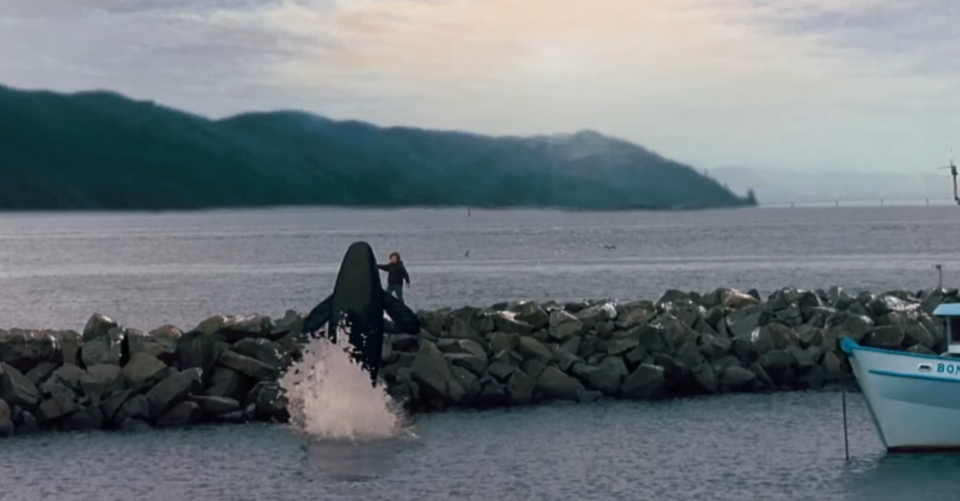 free-willy