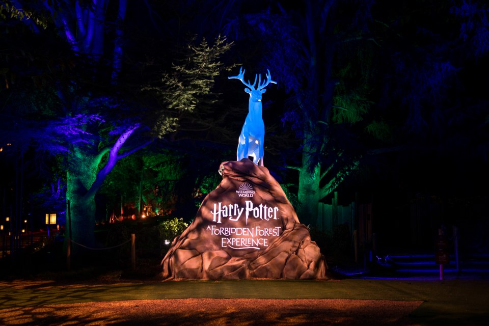 A new event called Harry Potter: A Forbidden Forest Experience is coming to Vancouver in November 2025.