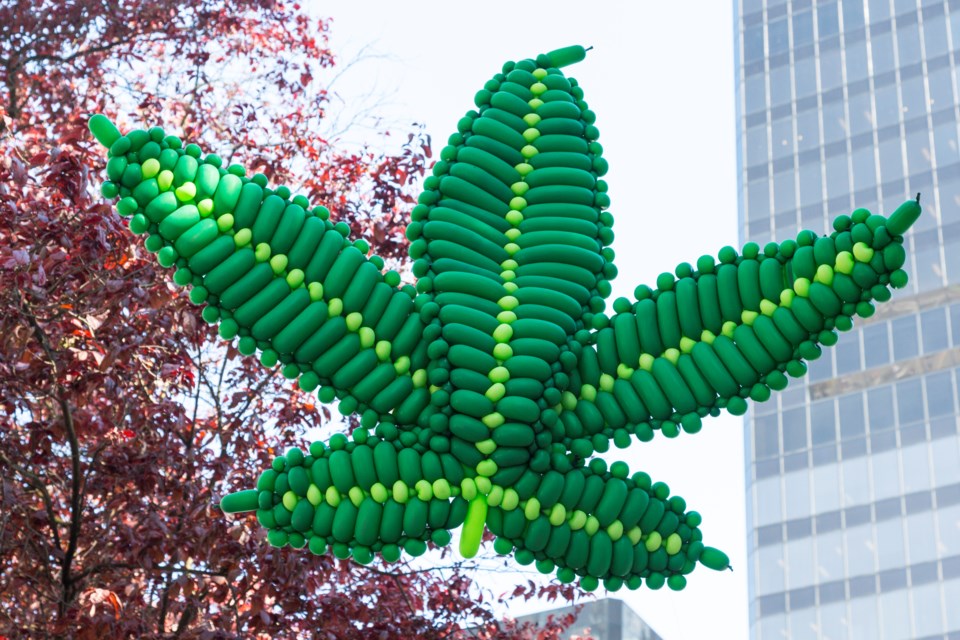 marijuana leaf balloon