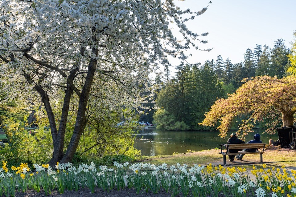metro-vancouver-filmling-locations-burnaby-central-park-virgin-river-june-2025