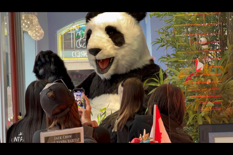 Tickets to see the pandas up close are currently being sold.