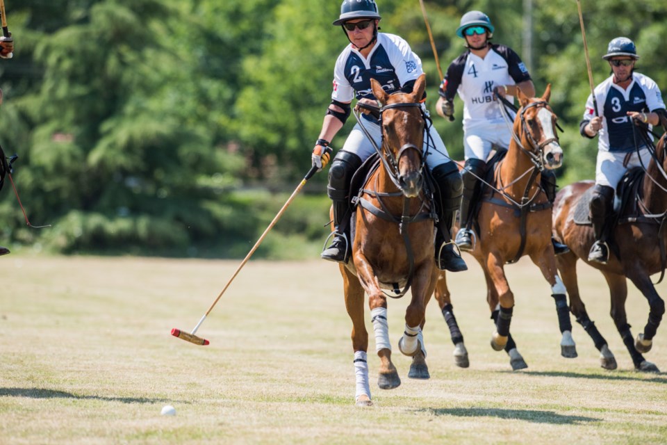 Polo horses can reach speeds up to 65 kilometres per hour.