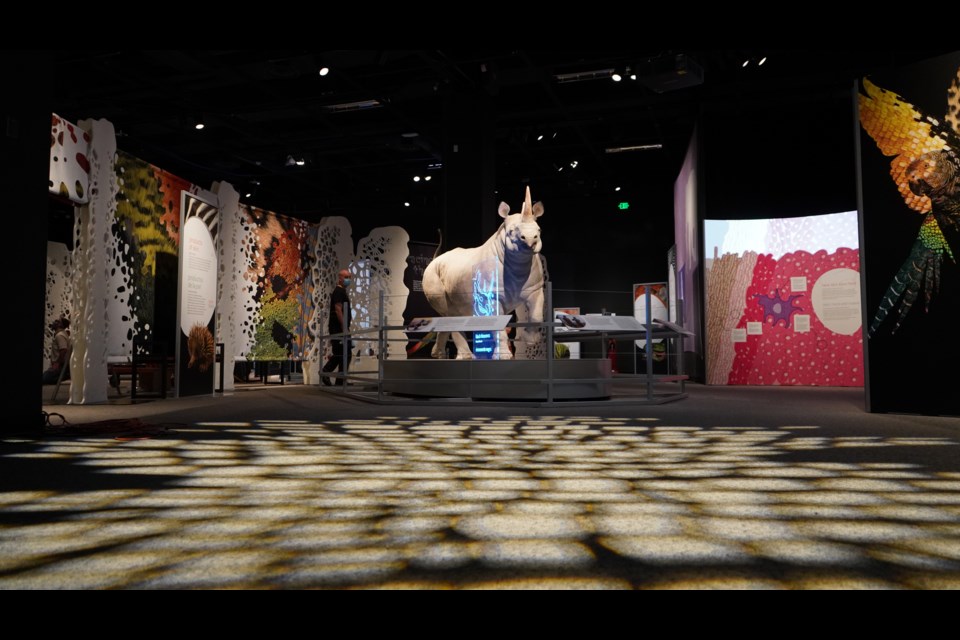The exhibit explores the shape-shifting, colour-changing, adaptable nature of skin across the animal kingdom.