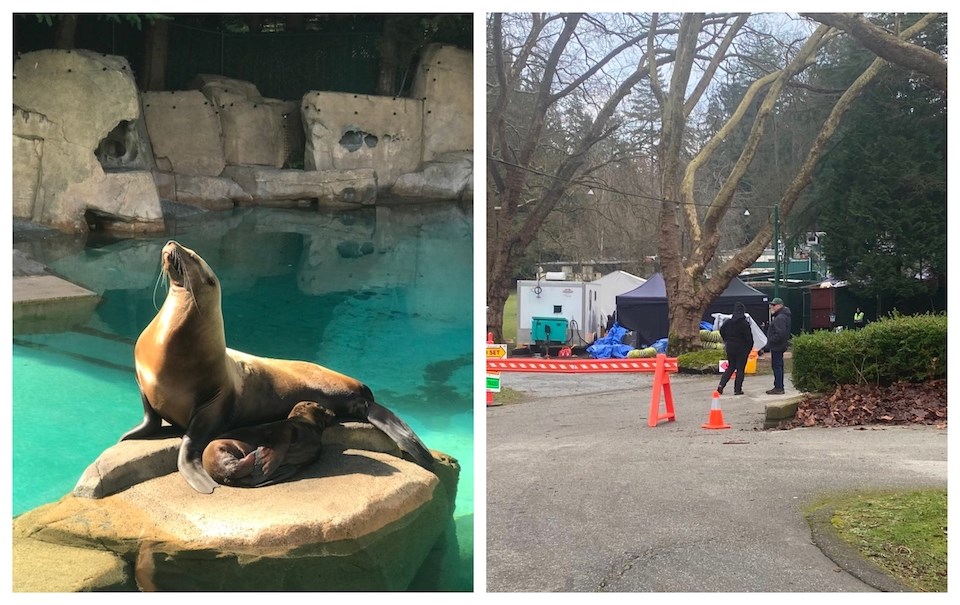 Locals believe the 鶹ýӳAquarium may be one of the 鶹ýӳfilming locations for "The Last Us" in January 2025.