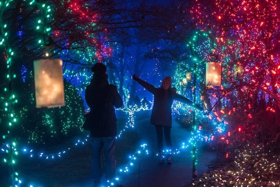 vandusen-festival-of-lights-vancouver