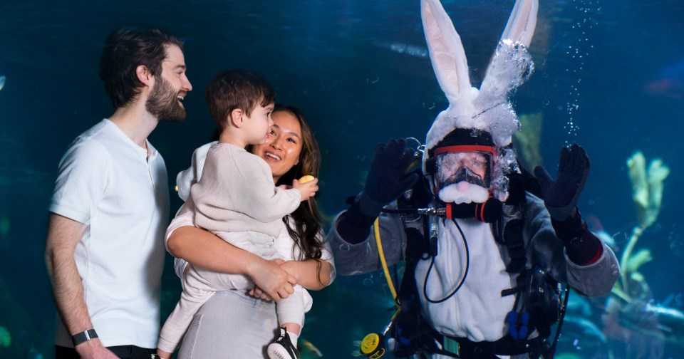 Kids can visit the Easter Bunny underwater at the Vancouver Aquarium this April.