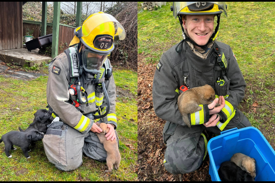Firefighters were able to save puppies from a small barn that had caught fire.