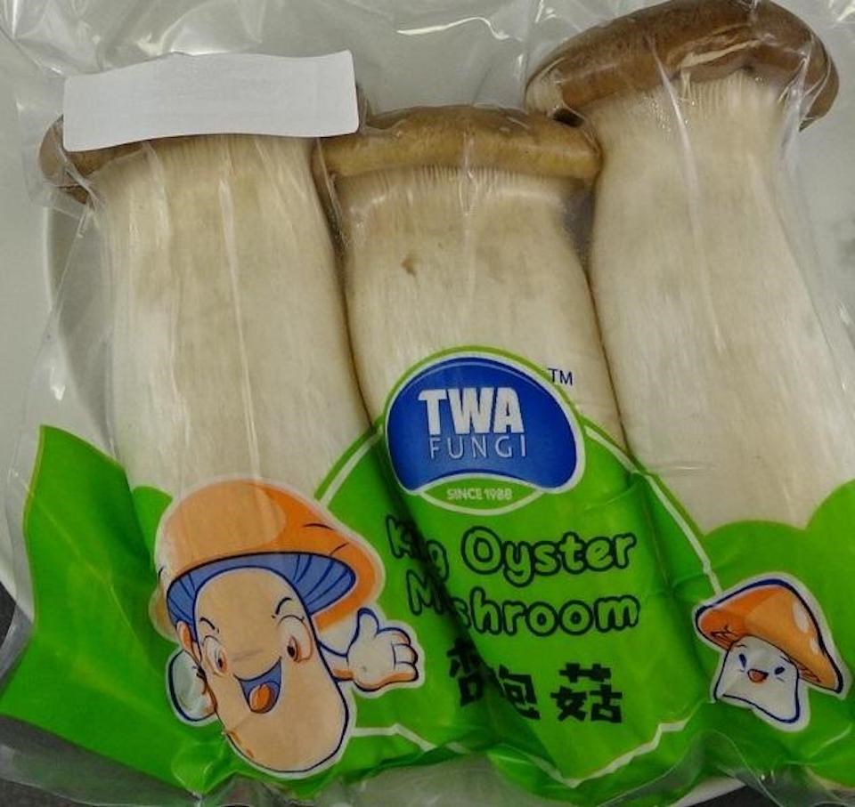 2-TWA Fungi King Oyster Mushroom