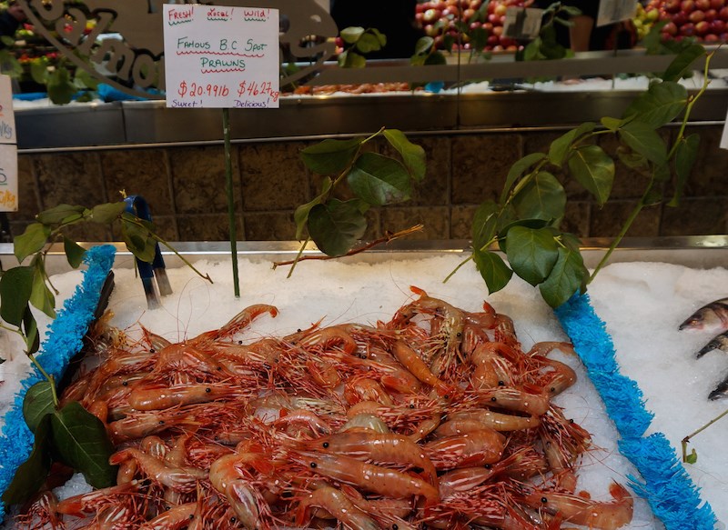 bc-spot-prawns-sold-vancouver