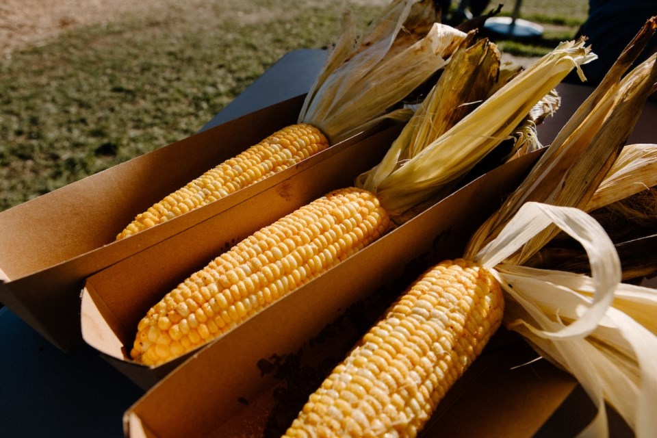 chilliwack-corn-festival-greendale-acres