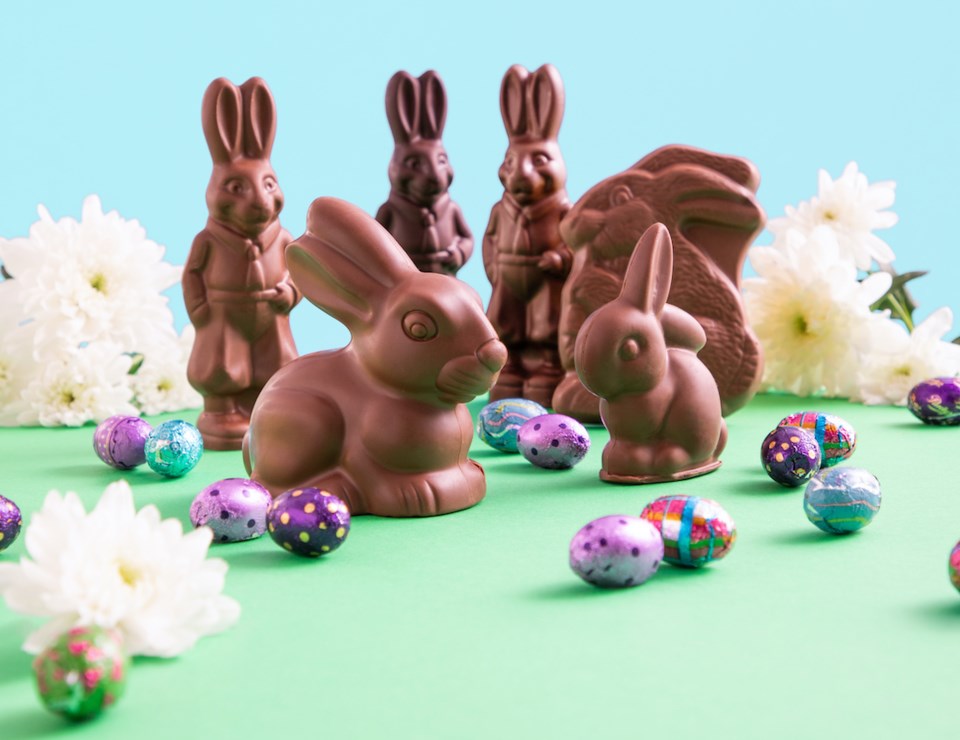 chocolate-bunnies-easter-purdys-chocolatier