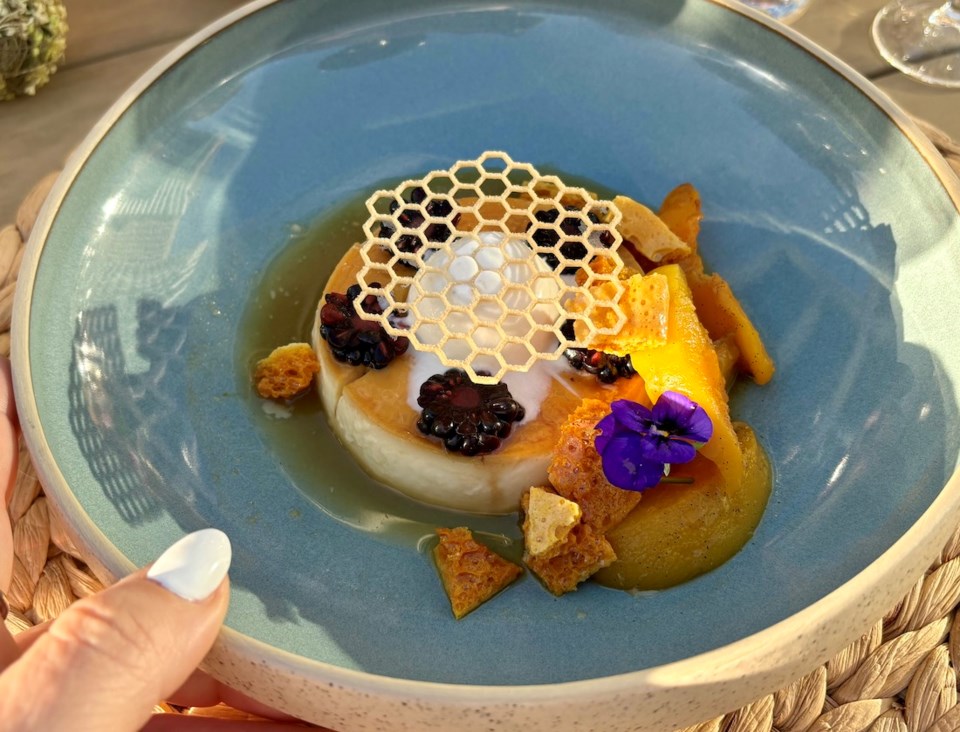 fairmont-waterfront-arc-rooftop-garden-dinner-08-honey-dessert