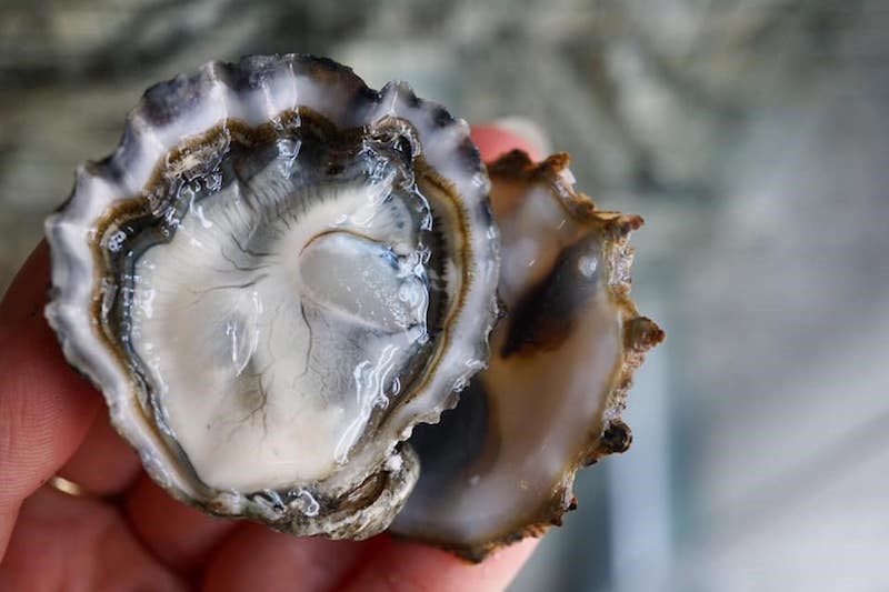 fanny-bay-oyster-bar-vancouver-bc