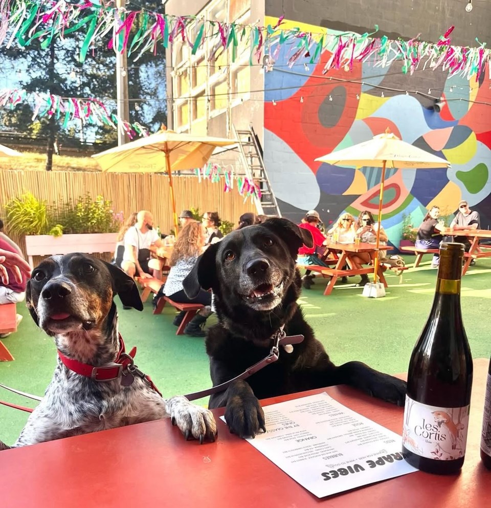 grape-vibes-boxcar-patio-dogs-01