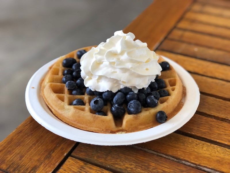 krause-berry-farms-langley-bc-blueberry-waffle