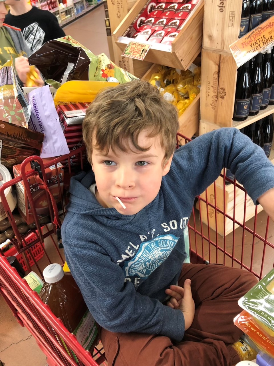 nolan-trader-joes-shopping-cart