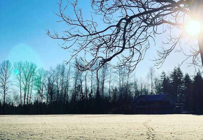 The Metro Vancouver weather forecast includes plenty of dry days but markedly colder overnight lows in January 2023, according to Environment Canada. Photo via @prettypetunias/Instagram