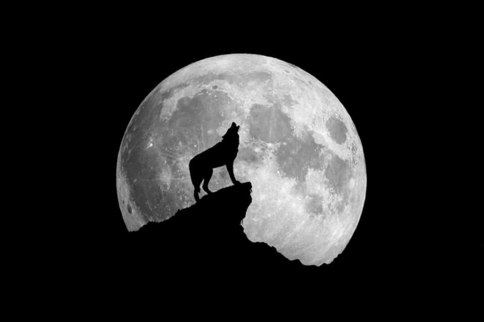 full-howling-moon