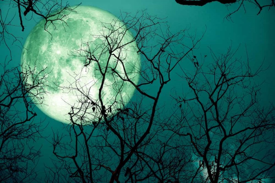 full-sturgeon-moon