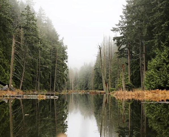 galiano-island-pond