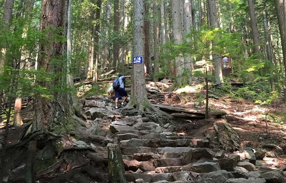 The Grouse Grind is opening this month for the 2020 season Vancouver