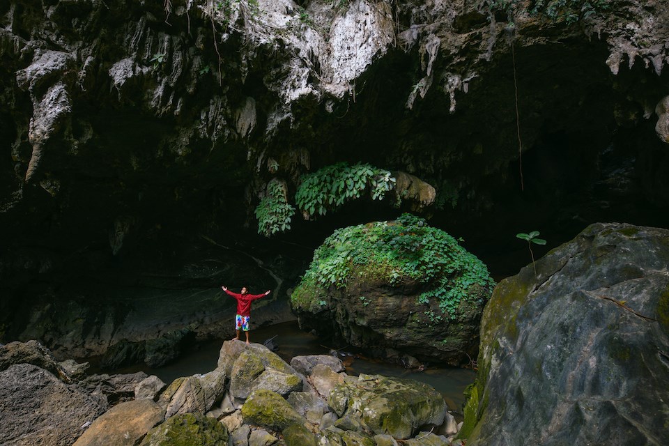 man-cave-travel-fungus-batspg