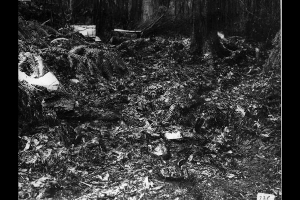 Where the bodies of the 'Babes in the Woods' were found. Crime scene photo of Stanley Park, January 1953