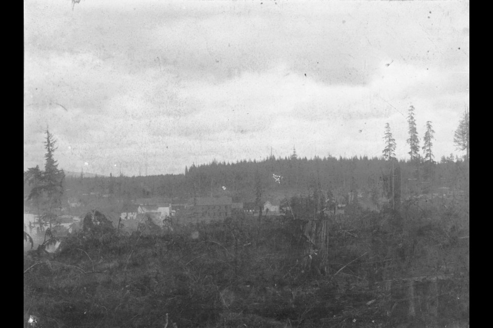 A view of the Cedar Cove area in 1885, before the City of Vancouver was founded.
Reference code: AM336-S3-2-: CVA 677-820