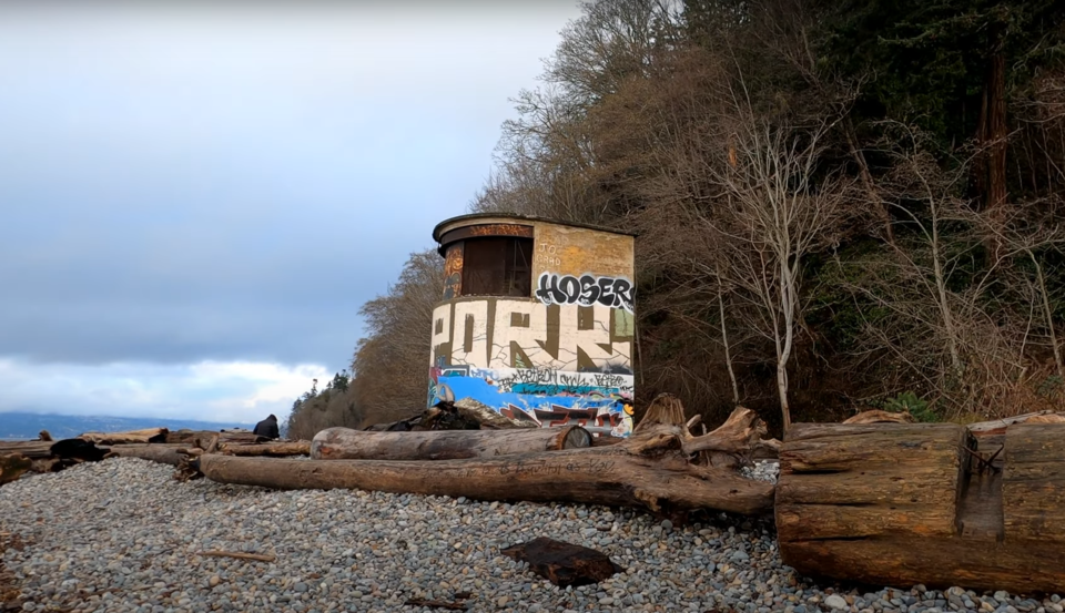 Point Grey Battery