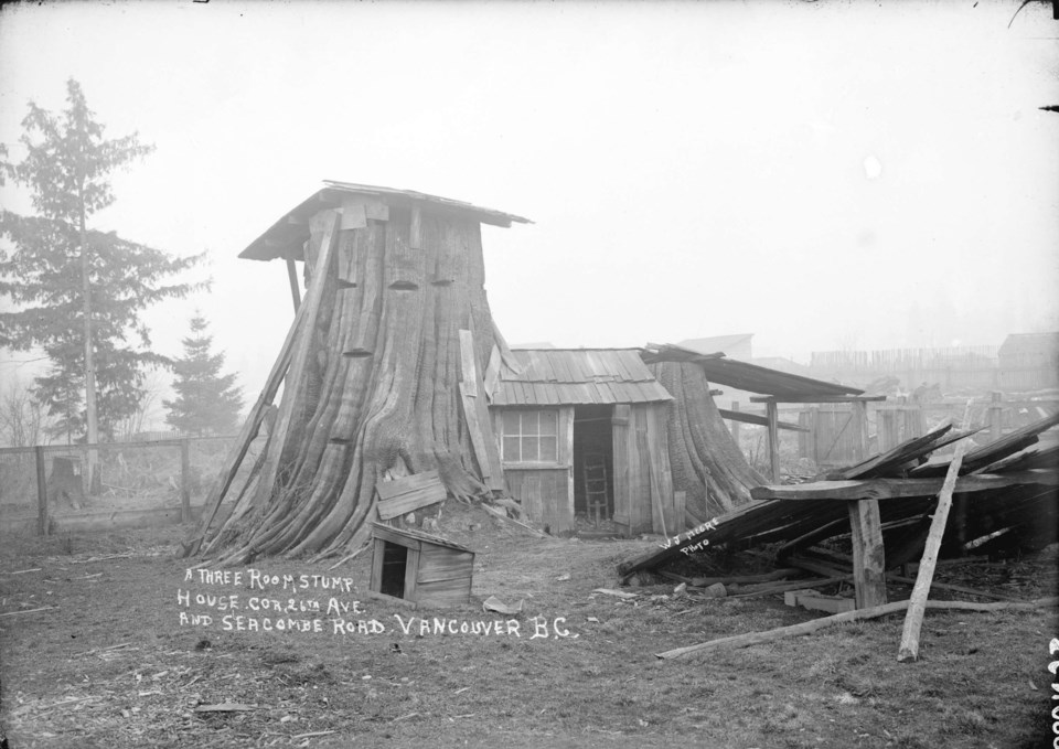 Tree stump home